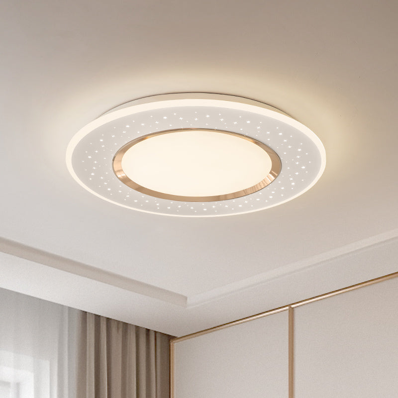 Starry sky ceiling light