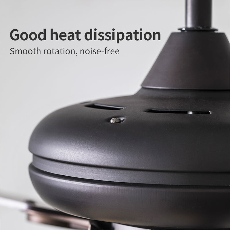 Efficient heat dissipation fan light