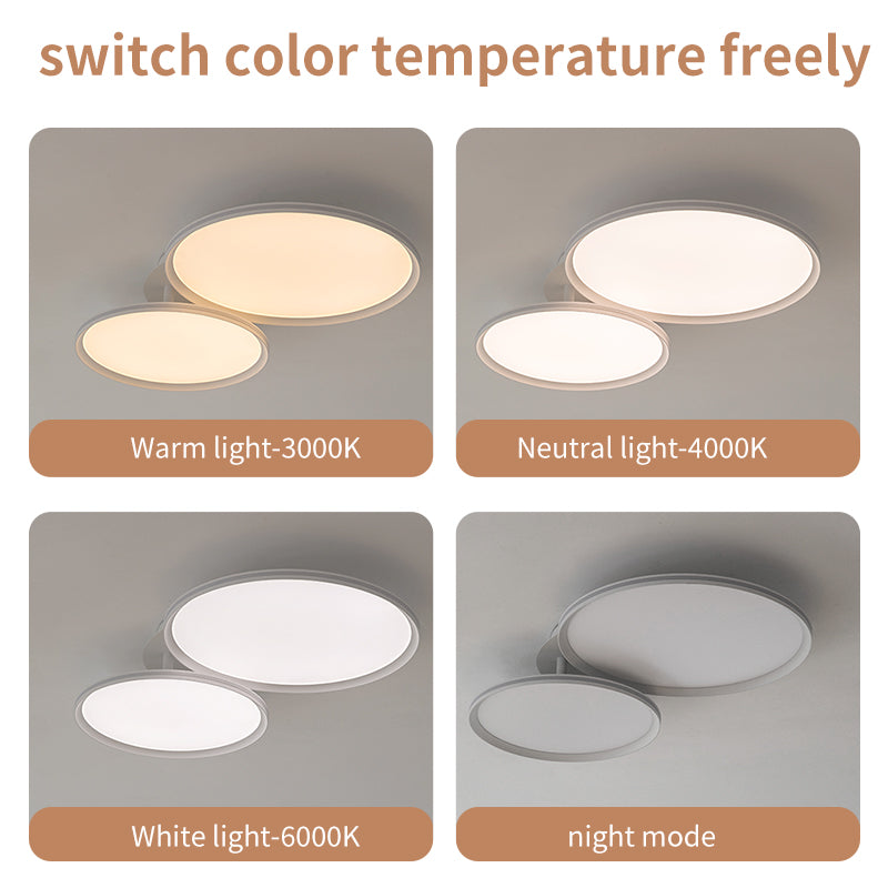 ceiling light 9721