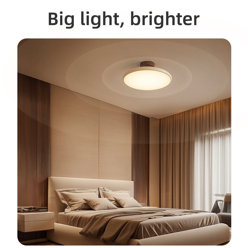 Contemporary bedroom ceiling light