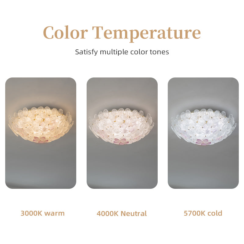 Petal light color temperature options