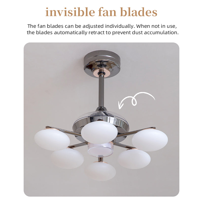 Invisible fan blades