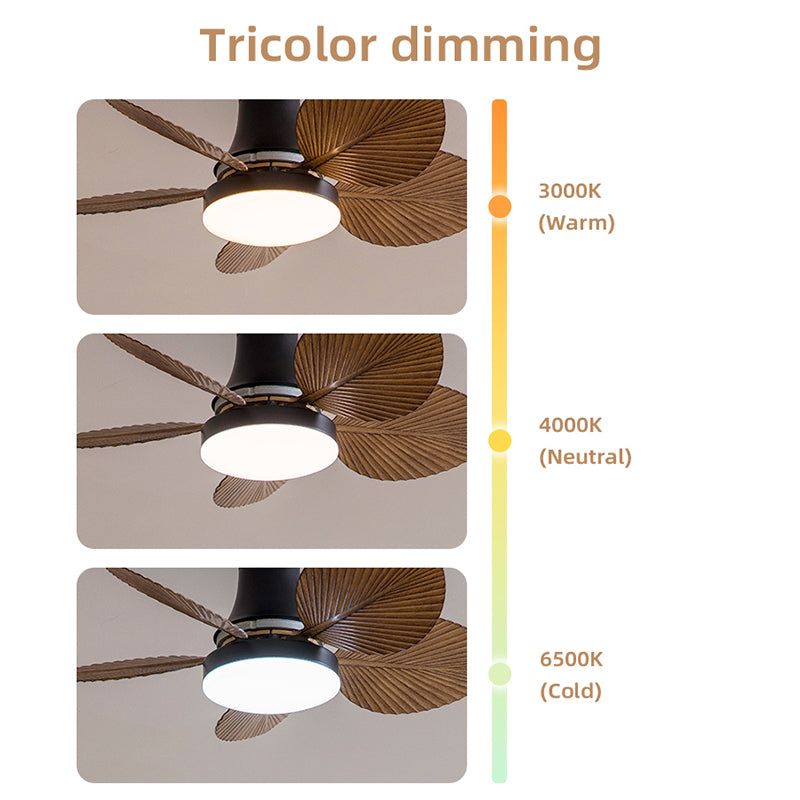 The color temperature of a retro fan light