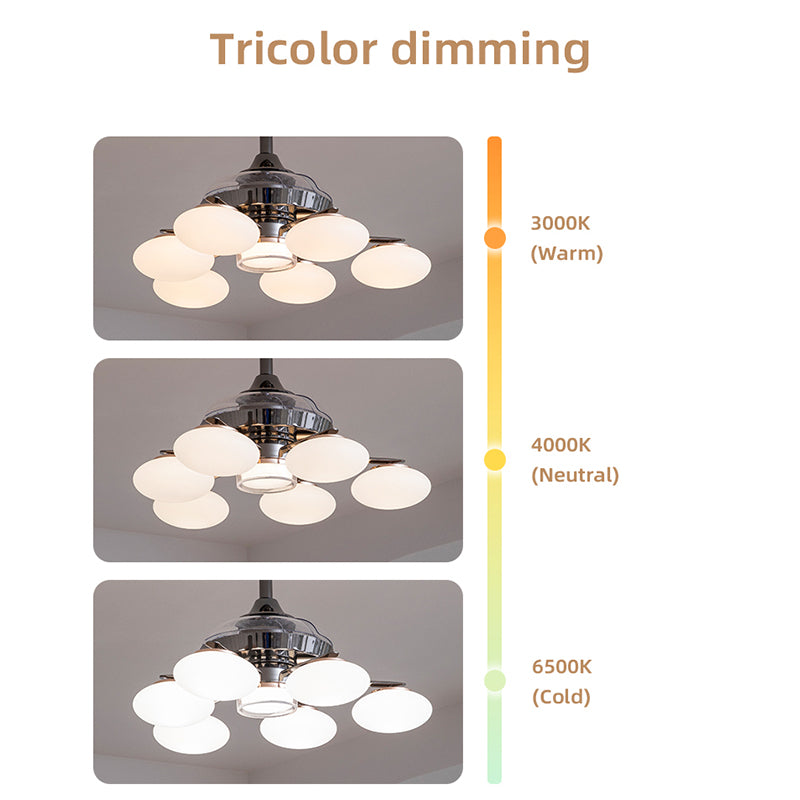 Tricolor dimming fan light