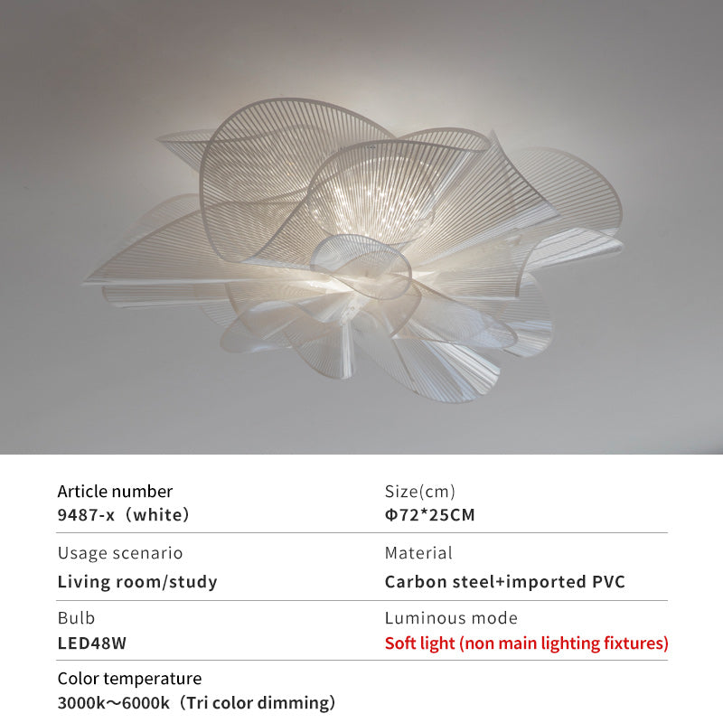 Ceiling light size details